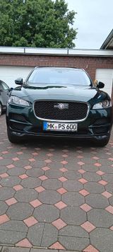 Jaguar F-Pace 20d AWD Prestige Automatik Prestige - Jaguar: Grün