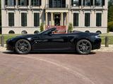 Aston Martin V8 Vantage Roadster 4.3 Sportshift - Aston Martin V8 Vantage: Cabrio