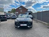 Cupra Formentor VZ Priority e-Hybrid - Cupra Formentor mit Hybrid-Antrieb: Panorama-Dach