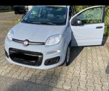 Fiat New Panda 1.2 8V EASY  - Fiat New Panda von privat