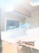 Sunlight Adventure Cliff 602 Citroen