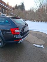Skoda Octavia 2.0 TSI DSG 4x4 Scout Combi Scout - Skoda Octavia Scout mit Benzin-Antrieb