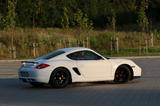 Porsche Cayman S