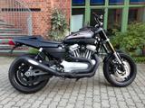 Harley-Davidson XR 1200 - Angebote