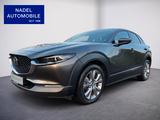 Mazda CX-30 Selection/Leder/Navi/SHZ/LHZ/LED/HUD