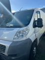 Fiat Ducato Kastenwagen 250L