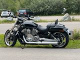 Harley-Davidson VRSCF V-Rod Muscle TÜV 04/27! (Ride Like A Wind) - Angebote entsprechen deinen Suchkriterien