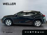 Lexus UX 250h Business Edition *ACC*Kamera*CarPlay*SHZ - Lexus aus 2021