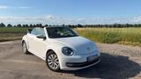 Volkswagen Beetle Cabrio  Top gepflegt  ... - Volkswagen Beetle in Hannover