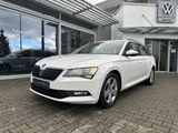 Skoda Superb Combi 1.6TDI ACTIV*17-Zoll - Skoda Superb: 1.6
