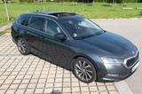 Skoda Octavia 1.5 TSI e-TEC DSG, AHK, SHZ, Pano, 18" - Skoda Octavia: 18 Tsi