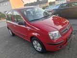 Fiat  Panda     1 Hand - Fiat Panda Gebrauchtwagen in Bielefeld