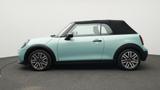MINI Cooper C Classic Trim Cabrio - MINI MINI: Roadster