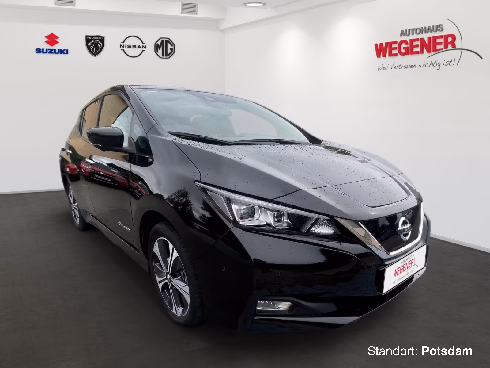 Nissan Leaf  Tekna 40 - CAM Sitzheizung Navi