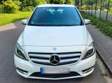 Mercedes-Benz Mercedes Benz B 180 W246 Sportpaket Xenon ... - : Van, 24