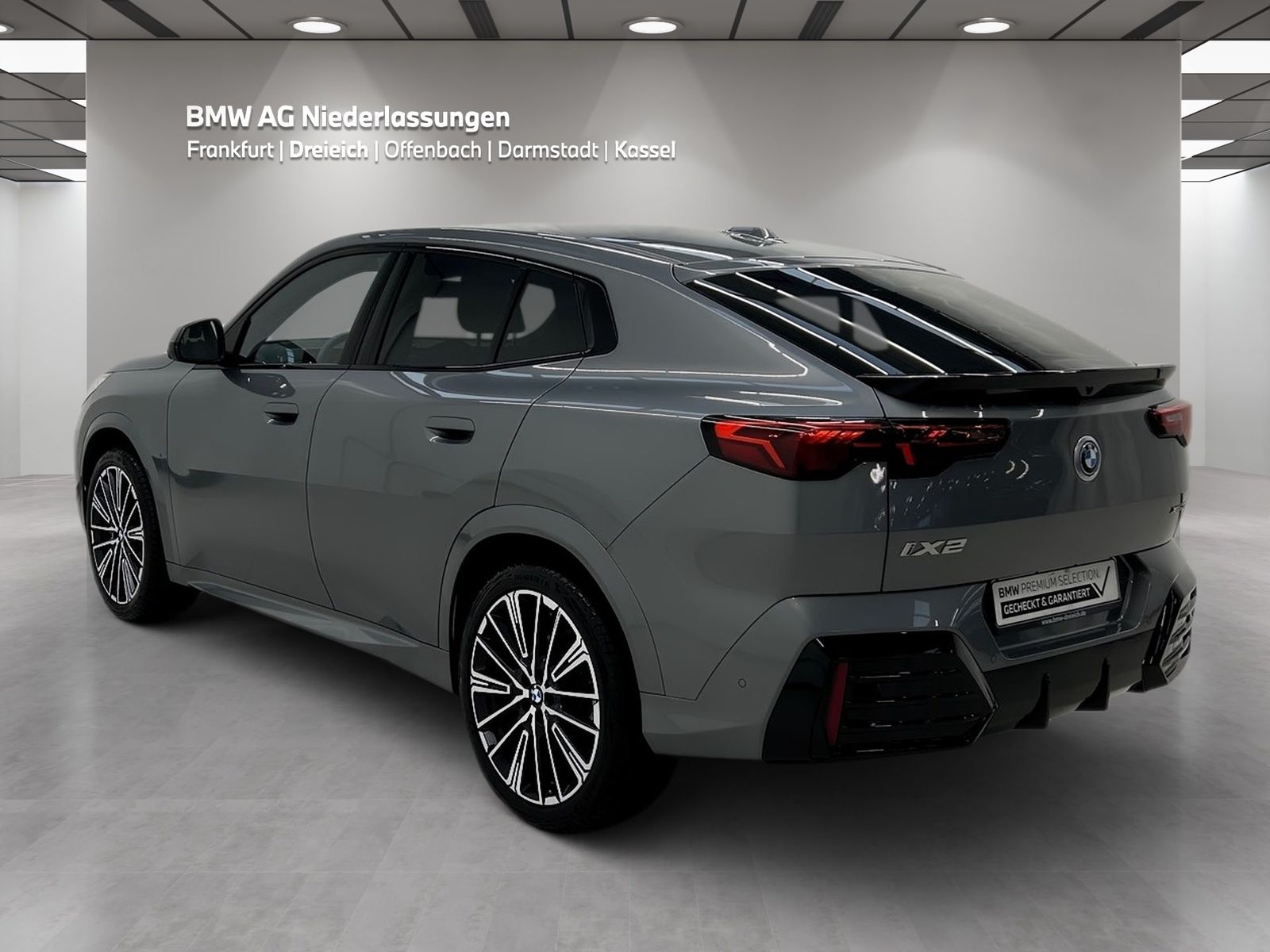 BMW iX2 xDrive30 M Sport AHK Driv.Assist.Prof LED foto 5