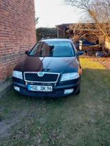 Skoda Octavia Combi 1.9 TDI PD Classic Classic - Skoda Octavia Classic mit Diesel-Antrieb