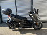 Honda FORZA 125 / MODELL 2026 / AKTION "SUMMER DEAL" - Angebote
