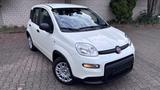 Fiat Panda Pandina 1.0 Mild-Hybrid / PDC