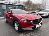 Mazda CX-30 Selection *1.Hand* - Mazda CX-30 aus 2019