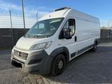 Fiat Ducato Maxi KÜHLKASTEN CARRIER 180 Power L5H2