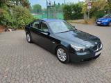 BMW 530i Automatik, E60 dunkelgrün mit beige - BMW 530: Grün