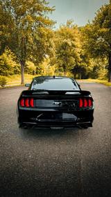 Ford Mustang / Shelby Komplett-Paket  - Ford: Shelby