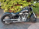 Harley-Davidson FLS Softail Slim kompl. Umbau - HARLEY-DAVIDSON SOFTAIL SLIM FLS
