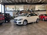 Mercedes-Benz B 250 B -Klasse 4Matic *1.HAND*19%*LED*TEMP*SZHZ - Mercedes-Benz B 250 aus 2015