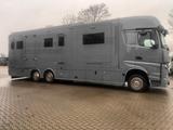 Mercedes-Benz 2651 STX 4 Pferde DOP. POP-OUT+POP-UP  EXKLUSIVE - Tier-/Pferdetransport 4 pferde