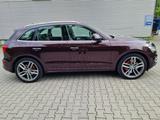 Audi SQ5 3.0 TDI competition tiptr.,exclusive,1 Hand, - Audi SQ5 in Hagen