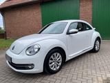 Volkswagen New Beetle 1.2 TSI 07/27 TÜV  - Volkswagen New Beetle mit Benzin-Antrieb: Limousine