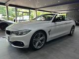 BMW 428 i Cabrio Steptronic /LEDER /MEMORY / 19 Zoll - BMW mit Benzin-Antrieb: Scheckheftgepflegt, Cabrio