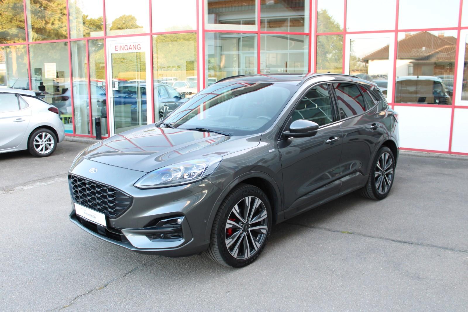 Ford Kuga 2.0 EcoBlue 4WD ST-Line X, Kamera, AHK