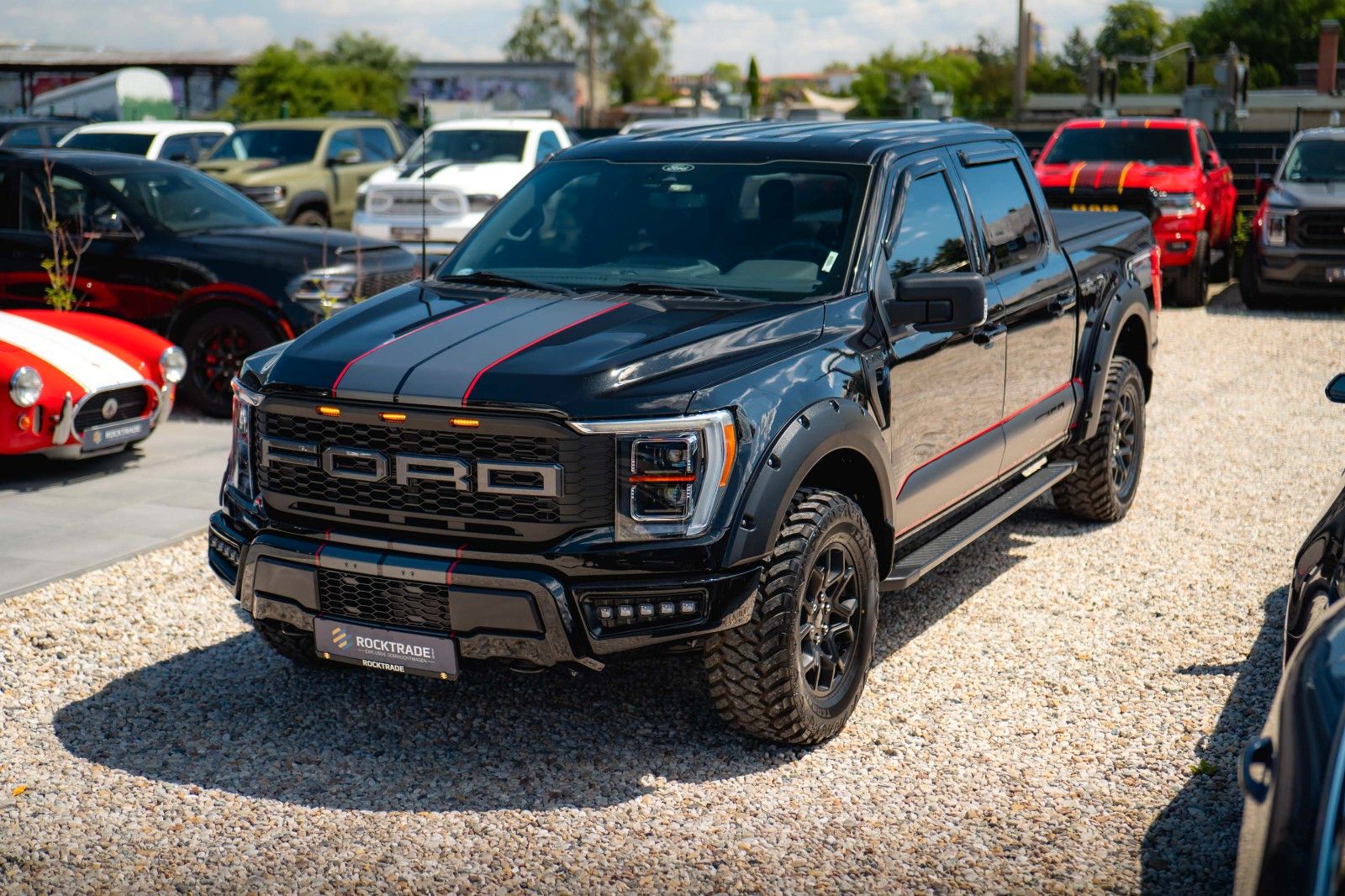 Fahrzeugabbildung Ford F150 5.0L V8 4x4 Offroad SuperCrew RAPTOR 19%