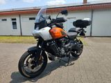 Harley-Davidson Pan America 1250 Special - AME