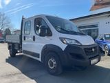 Fiat Ducato Maxi Pritsche/Kipper Doppelk. 35 140 L4 K - Fiat Ducato: Pritsche