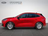 Ford Kuga ST-Line X WiPa*SHZ*HUD*Navi*RFK*DAB* - gebrauchte Ford Kombis