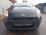 Fiat Punto Pop, Klima, Servo, ZV, el. FH, aus 1 Hand. - Fiat