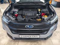 Subaru Forester - Vorschau Bild 16