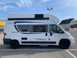 Globecar Globescout Two Win Vario