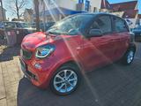 Smart ForFour  Basis 52kW/Automatik/PDC/Klima/ - Smart in Oldenburg