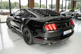 Ford Mustang 3,7 GT 500 SHELBY ANDROID - Ford Mustang: Shelby