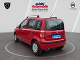 Fiat Panda 1.2 8V Dynamic, wenig KM, ClassPaket - Fiat Gebrauchtwagen von 2008