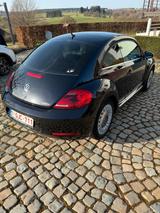 Volkswagen Beetle 1.6 TDI - - Volkswagen Beetle mit Diesel-Antrieb