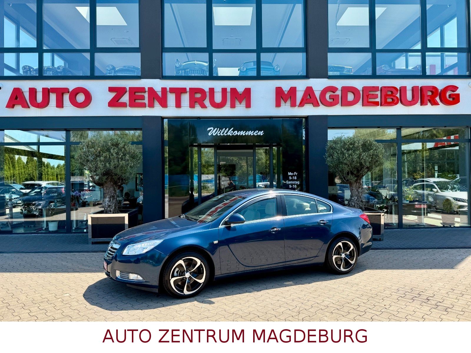 Opel Insignia A Lim. Edition NAV