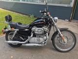 Harley-Davidson XL883 Custom| perfekt für kleine Leute - Offers matching your search criteria