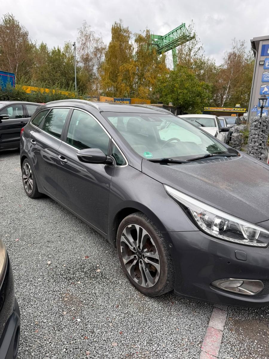 Kia cee'd 2013 — вигляд ззаду