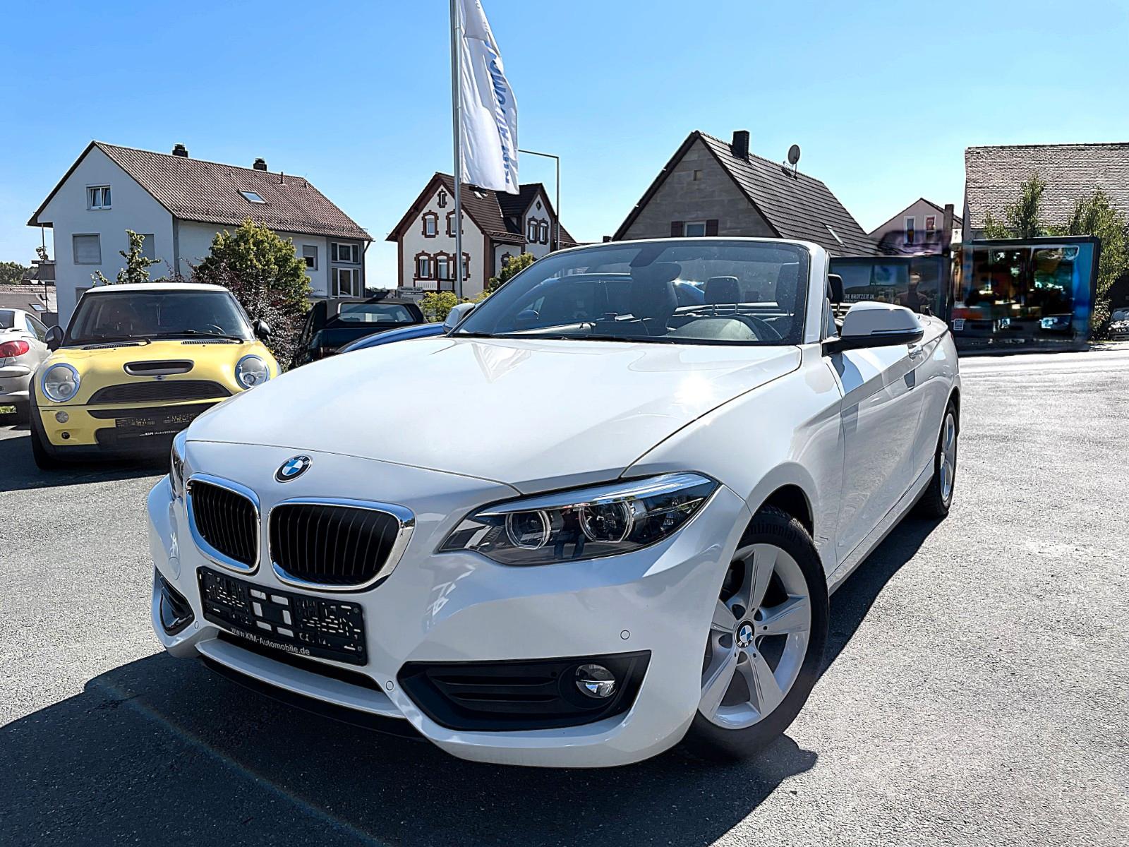 BMW 2 Cabrio 218 i Advantage"TOP"1.HAND/LEDER/KAMERA