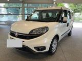 Fiat Doblo SX Maxi | EPH NAVI MULTILENKR - gebrauchte Fiat Doblo aus dem Jahr 2019